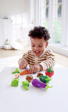 Load image into Gallery viewer, Hape Garden Vegetable Playset
