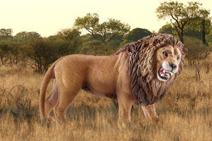 Schleich Lion (roaring)