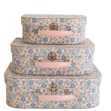 Load image into Gallery viewer, Alimrose Carry Case Set Liberty Blue
