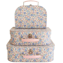 Load image into Gallery viewer, Alimrose Carry Case Set Liberty Blue
