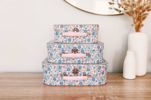 Alimrose Carry Case Set Liberty Blue