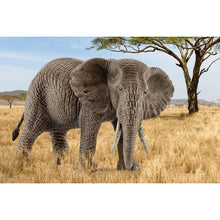 Load image into Gallery viewer, Schleich African Elephant (female)
