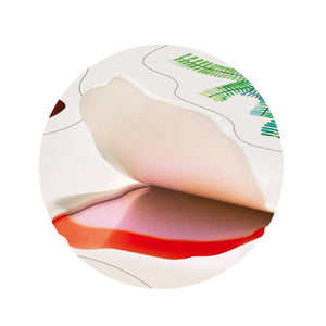 Mier Edu Dino Land Jelly Stickers