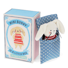 Load image into Gallery viewer, Rex London Mini Bunny in a Box
