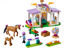Load image into Gallery viewer, Lego Friends Horse Training 41746
