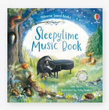 Load image into Gallery viewer, Usborne Sleepytime Music Book
