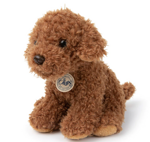 B.T. Chaps Stacy the Labradoodle in Giftbox