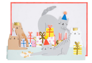 Birthday Card Cat Party Concertina