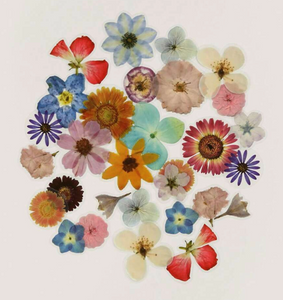 Stickers Pressed Flowers Set of 40