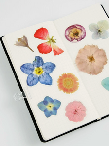 Stickers Pressed Flowers Set of 40
