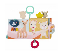 Load image into Gallery viewer, Sophie the Giraffe Discovery Book

