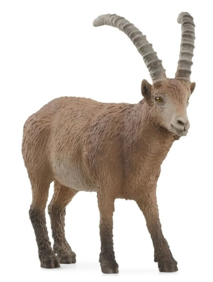 Schleich Ibex