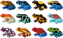 Load image into Gallery viewer, Mudpuppy Shaped Memory Match Frogs
