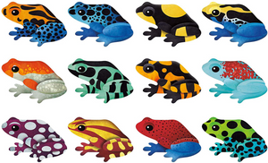 Mudpuppy Shaped Memory Match Frogs