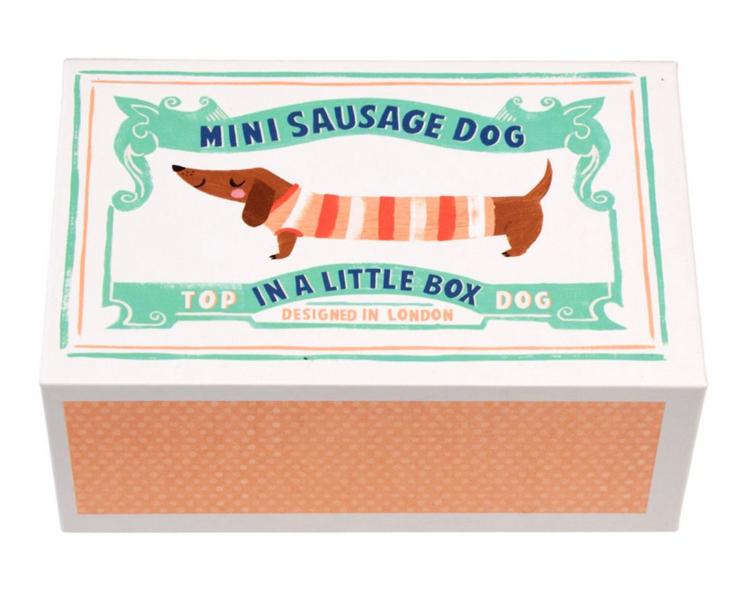 Rex London Miniature Sausage Dog In a Box