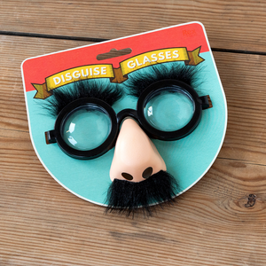Disguise Glasses