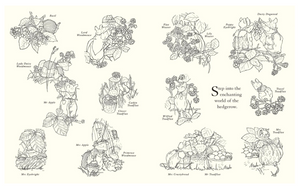 Brambly Hedge Festive Colouring Book