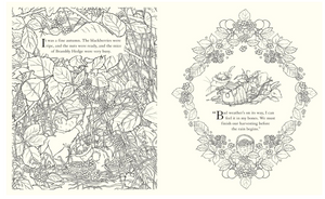 Brambly Hedge Festive Colouring Book