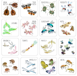 Bugtastic Bingo