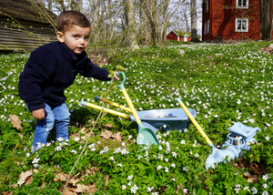 Viking Toys Reline Wheelbarrow