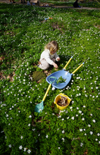 Load image into Gallery viewer, Viking Toys Reline Wheelbarrow
