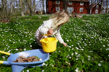 Load image into Gallery viewer, Viking Toys Reline Wheelbarrow
