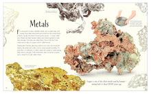 Load image into Gallery viewer, DK Anthology of Our Extraordinary Earth - Hardcover
