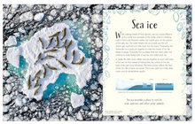 Load image into Gallery viewer, DK Anthology of Our Extraordinary Earth - Hardcover
