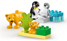 Load image into Gallery viewer, Lego Duplo Wild Animal Families Penguins &amp; Lions 10442
