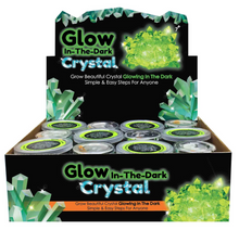 Load image into Gallery viewer, Glow in the Dark Crystal Growing
