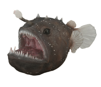Anglerfish