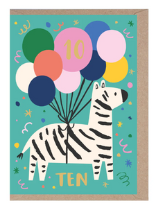 10 Years Old Zebra