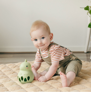 Tiger Tribe Silicone Rattle Dino