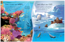 Load image into Gallery viewer, Usborne See Inside Ocean
