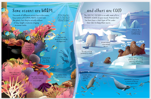 Usborne See Inside Ocean