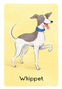Usborne Dog Snap