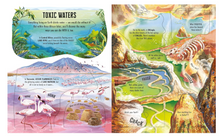 Load image into Gallery viewer, Usborne See Inside Wild Places
