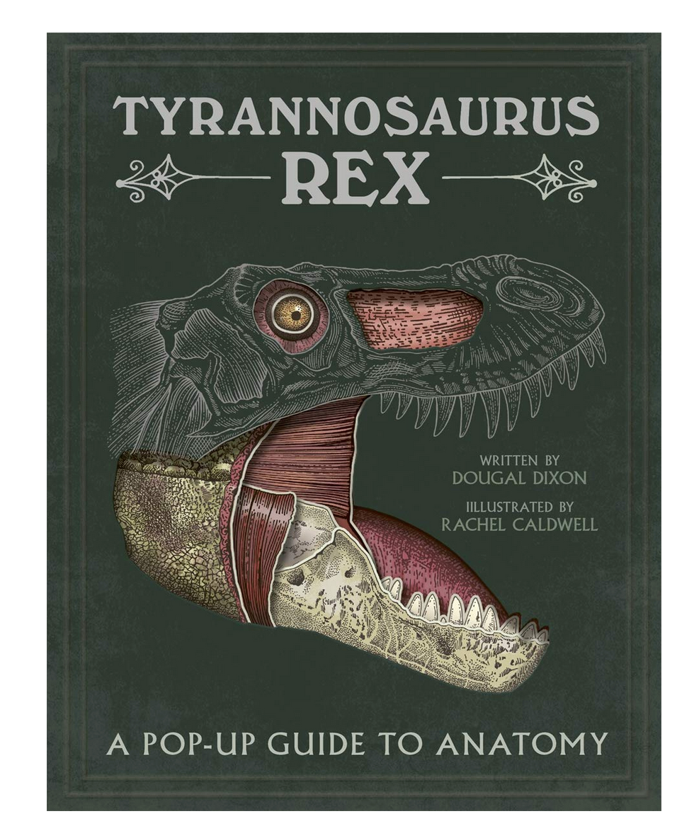 Tyrannosaurus Rex: Pop-Up Guide To Anatomy