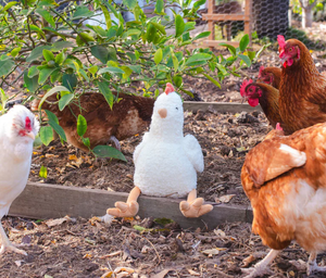 Nana Huchy Henrietta the Hen Rattle
