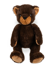 Load image into Gallery viewer, Winnipeg Teddy

