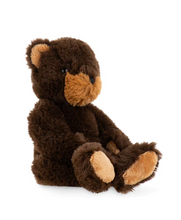 Load image into Gallery viewer, Winnipeg Teddy
