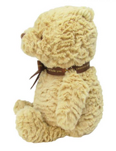 Load image into Gallery viewer, Winnie the Pooh Disney 23cm
