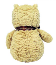 Load image into Gallery viewer, Winnie the Pooh Disney 23cm
