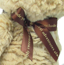 Load image into Gallery viewer, Winnie the Pooh Disney 23cm
