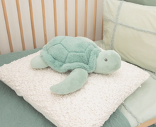 Load image into Gallery viewer, Bubble Perfect Pairs - Toby the Turtle
