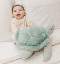 Load image into Gallery viewer, Bubble Perfect Pairs - Toby the Turtle
