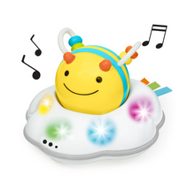 Load image into Gallery viewer, Skip Hop Explore &amp; More Follow Bee Crawl Toy
