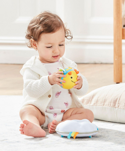 Skip Hop Explore & More Follow Bee Crawl Toy