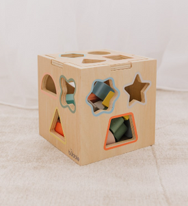 Bubble Wooden Shape Sorting Cube