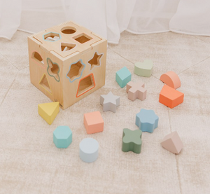 Bubble Wooden Shape Sorting Cube